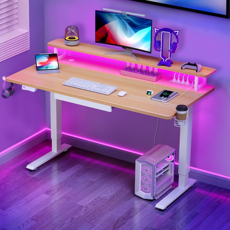 Wrought Studio 55'' Electric Height Adjustable Standing Desk with LED Light, Power Outlet u0026 Drawer