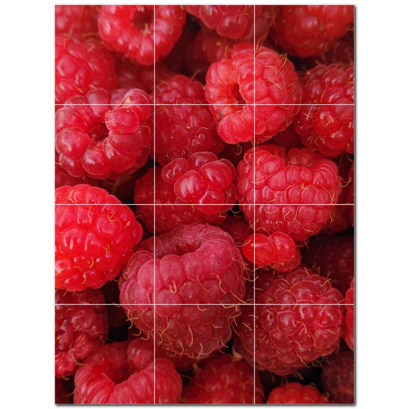 12'' x 12'' Satin Ceramic Decorative Mural