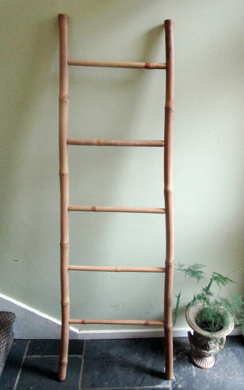 5' Bamboo Ladder, 19"W X 60"H
