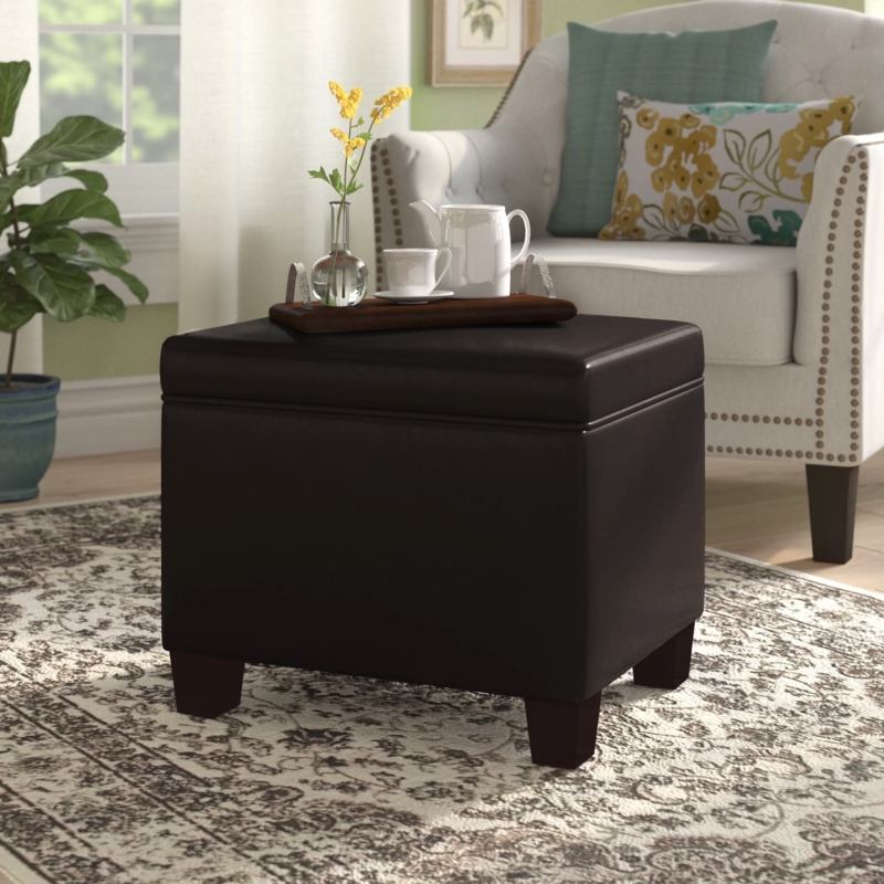 Akifa 21.75" Wide Leather Rectangle Storage Ottoman