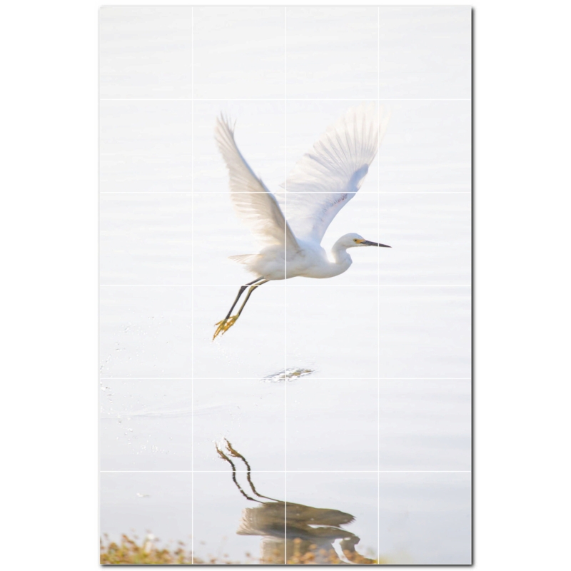 Bird Photo 8'' x 8'' Satin Ceramic Decorative Mural