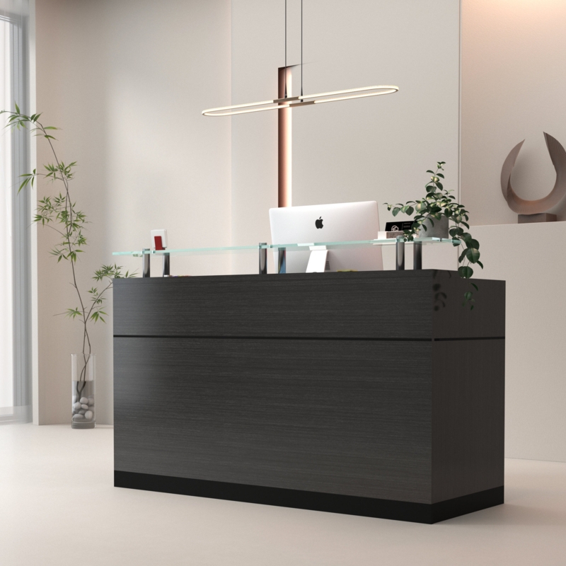 Bradynn 2 Person Rectangle Glass Reception Desk