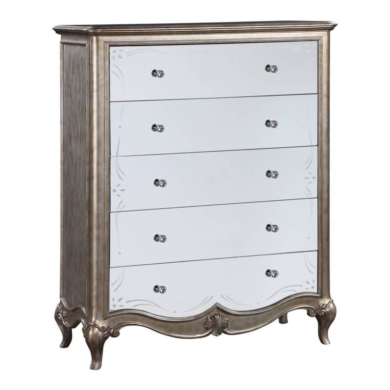 Coutee 5 - Drawer 41.6" W Chest in Mirrored and Antique Champagne
