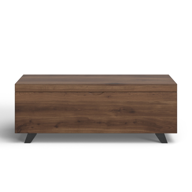 Dinora Coffee Table Trunk