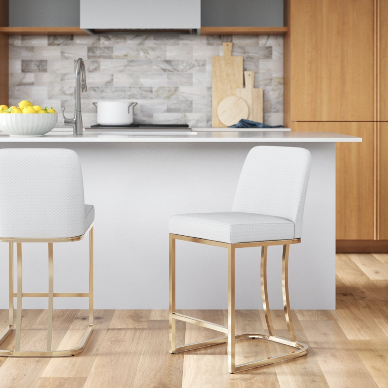 Forsyth 24'' Counter Stool (Set of 2)