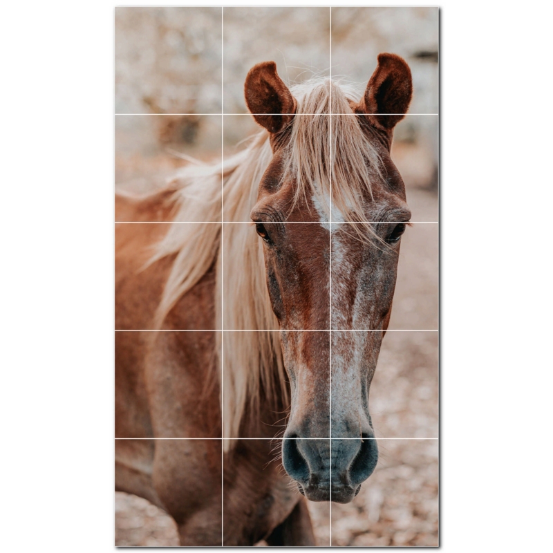 Horse Photo 6'' x 6'' Satin Ceramic Decorative Mural