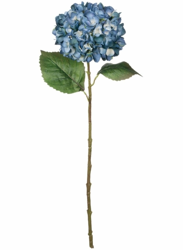 Hydrangea Arrangement
