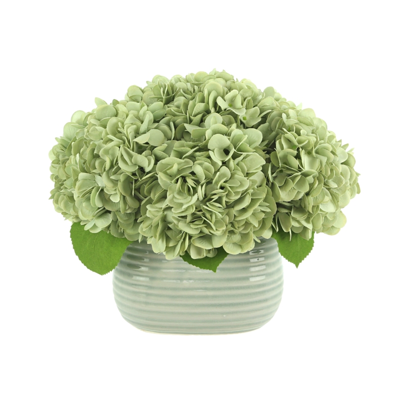 Hydrangeas Arranged in Ceramic Vase