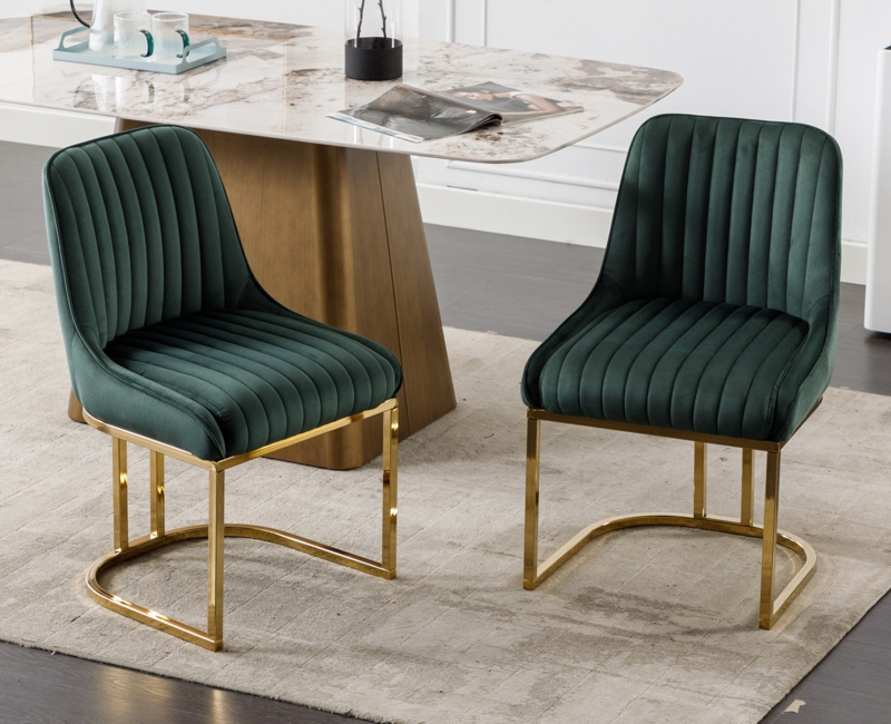 Junias Velvet Upholstered Side Chair (Set of 2)