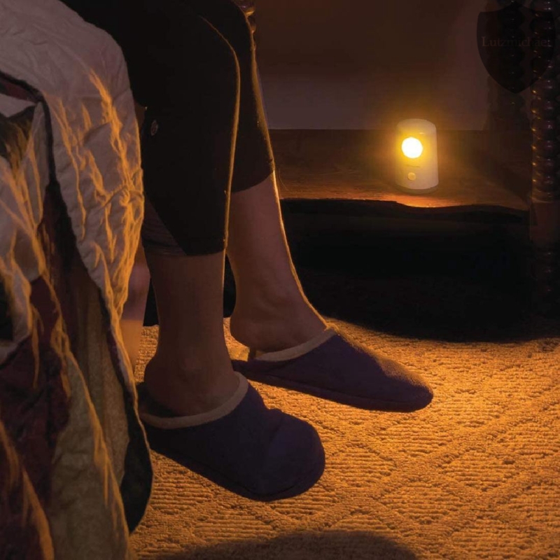 LED Stand Night Light