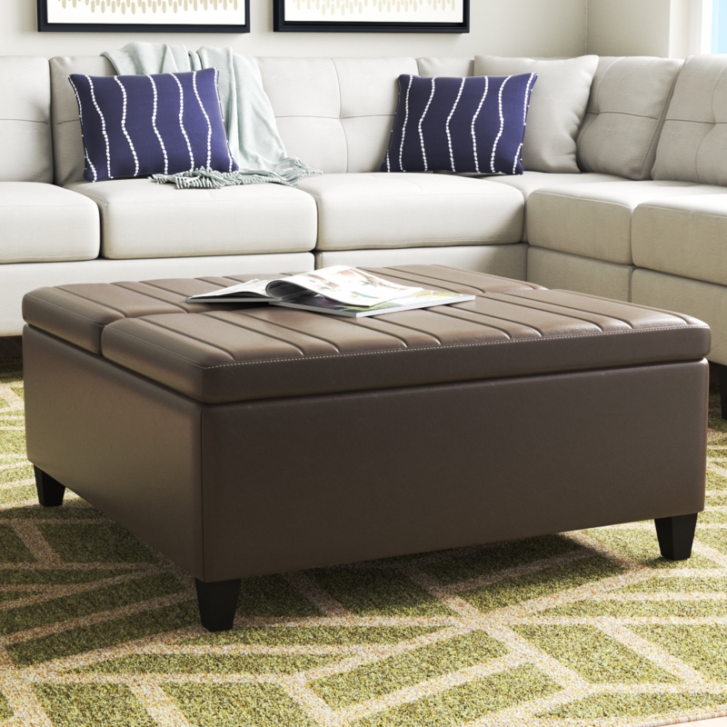 Soudersburg Coffee Table Storage Ottoman