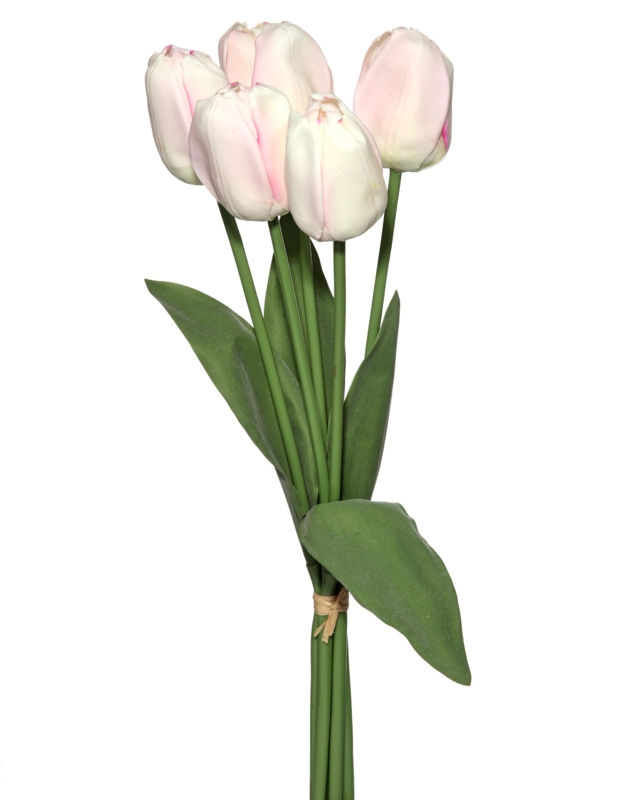 Tulip Arrangement