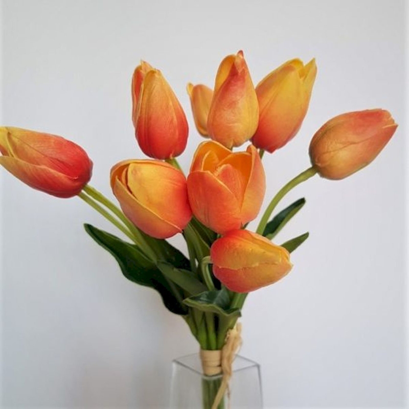 Tulip Arrangement