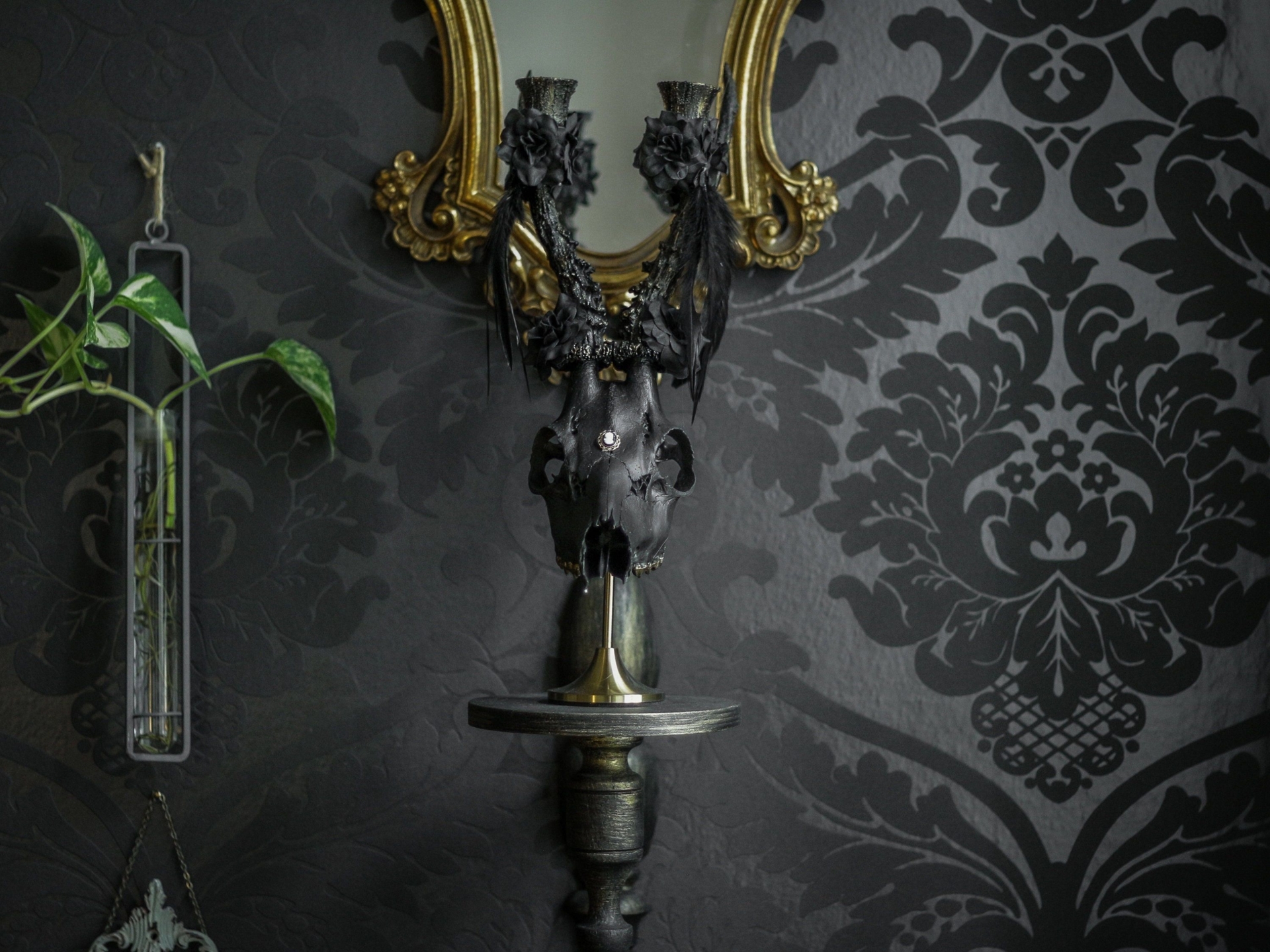Gothic candleholder from real deer skull painted black with feathers for gothic home decor