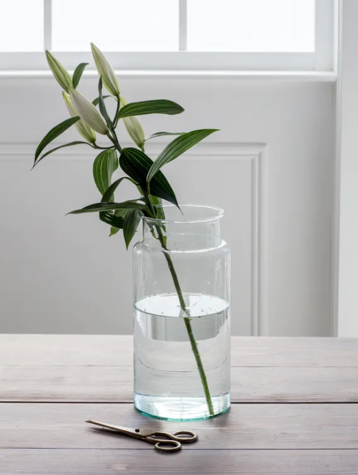 Tall Classic Vase | Glass