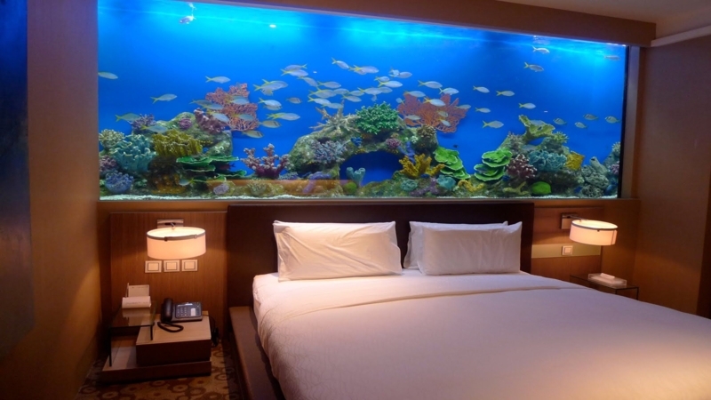 12 Incredible Home Aquariums That Will Get Your Creative Juices Flowing