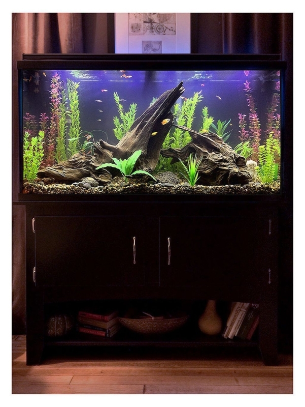 Awesome fish tank ideas 28 Aquarium Landscape, Nature Aquarium ...