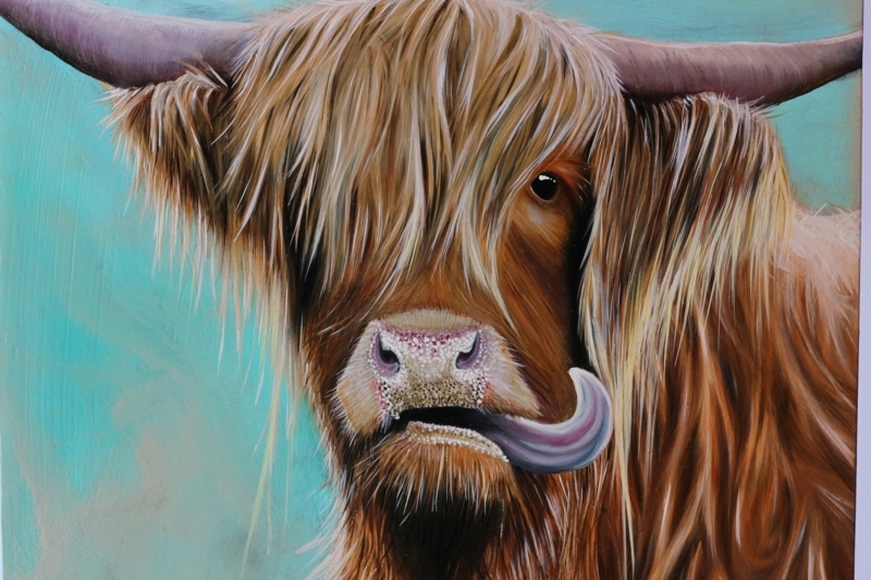 Highland Cow Paintings