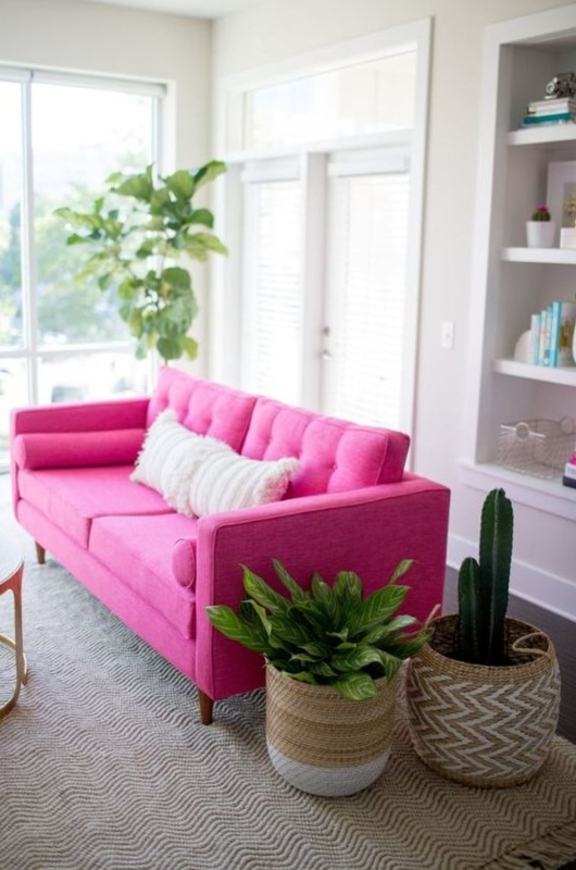 Bright Pink Sofa with Indoor Green Plants