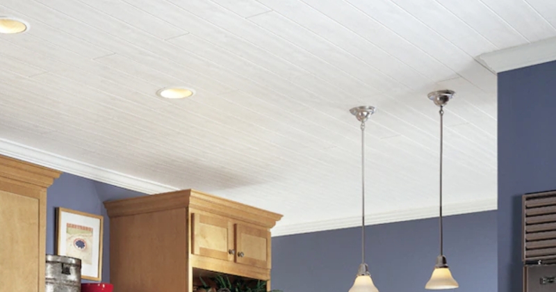 Bright White Ceiling Panels Enhancing Cozy Mobile Home