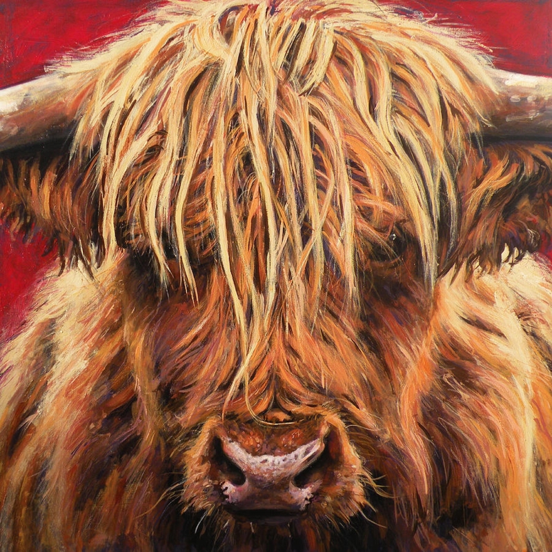 Close-Up Painting of Highland Cow with Warm Tones