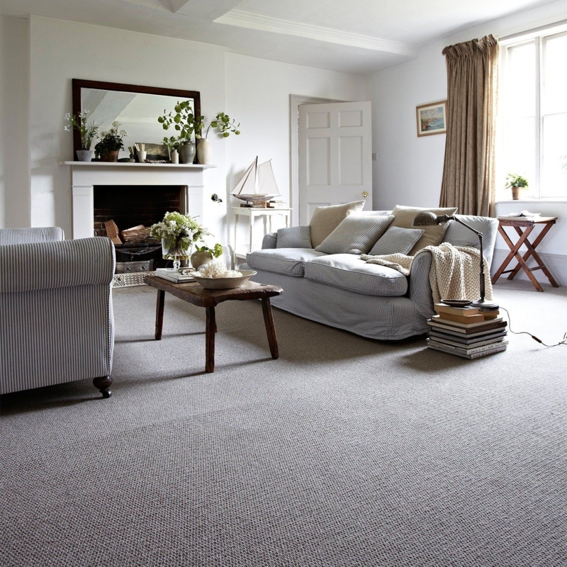 Cozy Neutral Carpeted Living Room with Rustic Charm