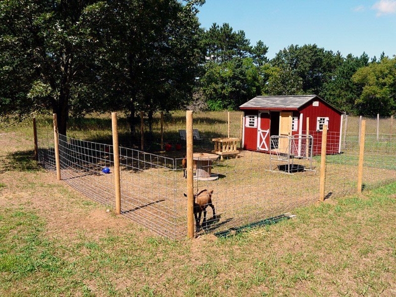 Cozy Red Wooden Goat House with Fenced Yard