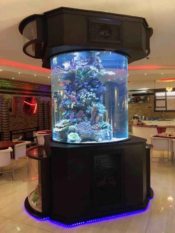 Custom Built Luxury Fish Tanks with LED Lighting