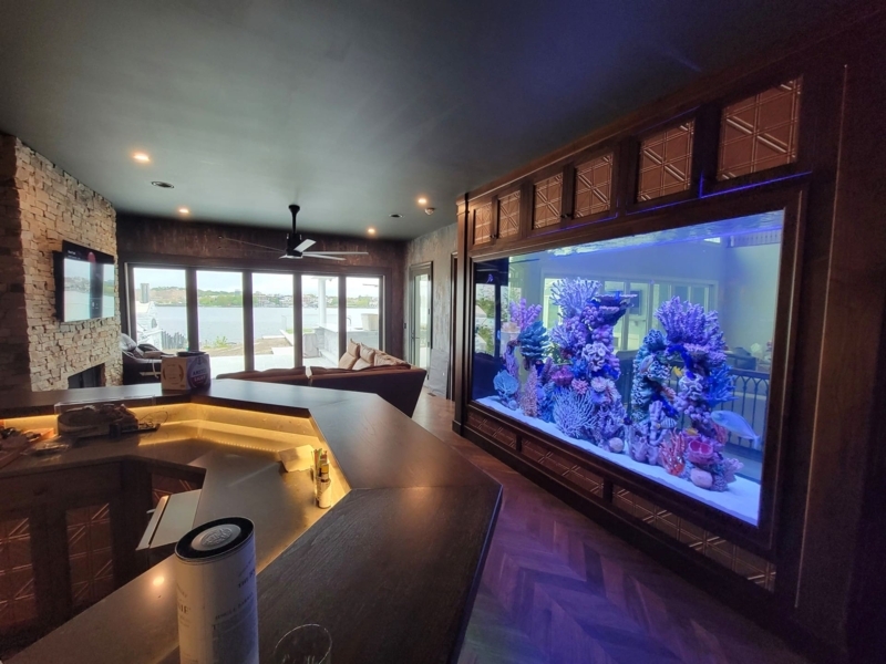 Custom Luxury Fish Tanks and Aquariums | Gallery Photos | NY, NJ, PA