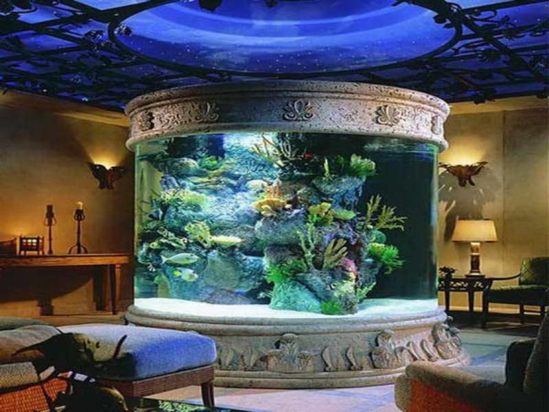 Design: gli acquari i pi stravaganti del mondo -