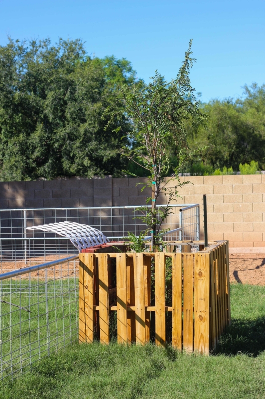 DIY Wooden Goat Pen for Outdoor Animal Housing