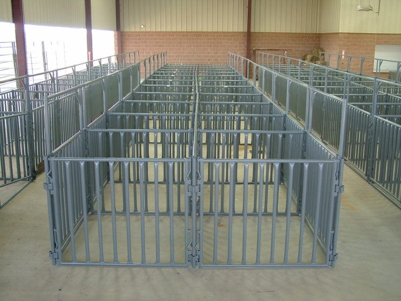 Durable Metal Pens for Livestock Management