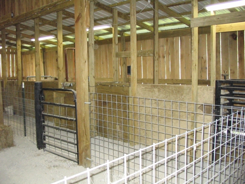 Durable Wooden Goat Barn Stalls with Metal Panels