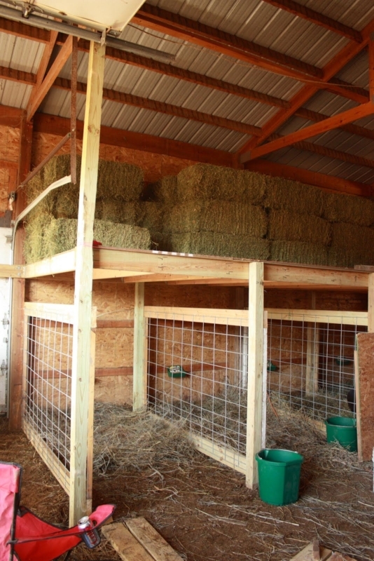 Efficient Goat Kidding Pen with Organized Hay Storage