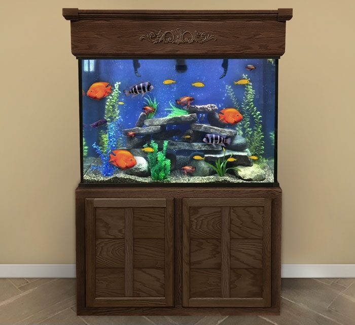 Elegant 50 Gallon Tall Aquarium with Wooden Stand