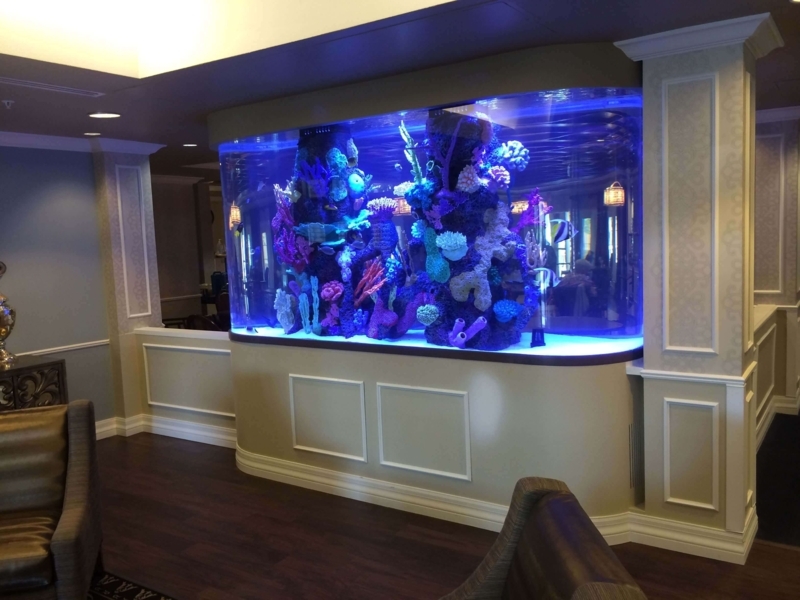 Elegant Built-in Tall Aquarium with Blue Lighting