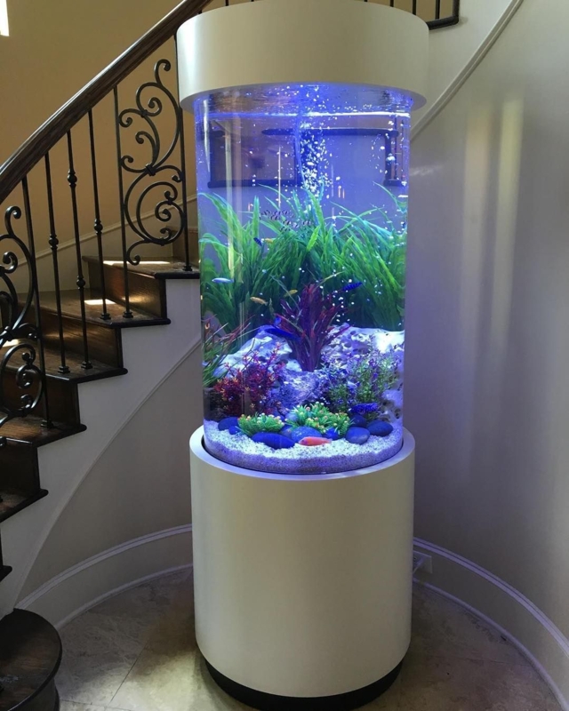 Elegant Cylindrical Aquarium in Modern Home Interior