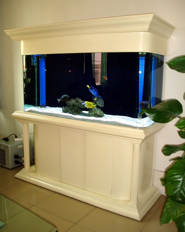 Elegant Large Saltwater Aquarium with Custom Cabinet