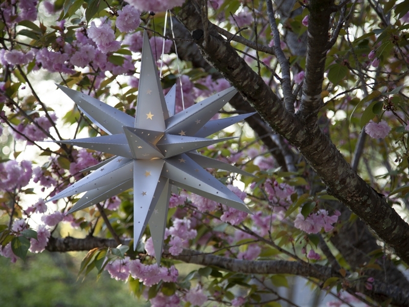 Elegant Moravian Star Outdoor Hanging Light
