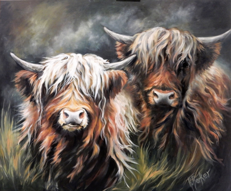 Highland Cow Canvas Art Prints by Hilary Barker