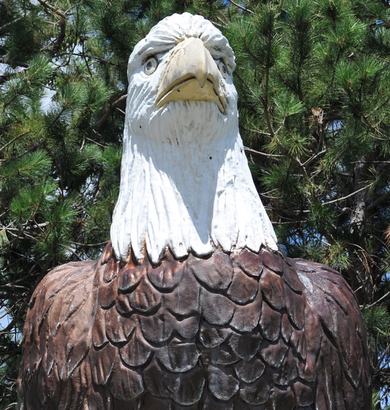 Majestic Eagle Statue in Natural Outdoor Setting