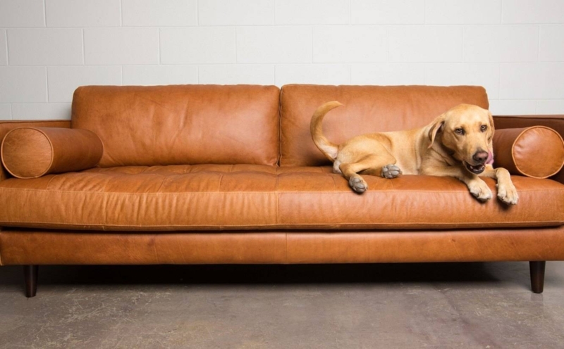 Modern Camel Leather Sofa with Relaxed Dog