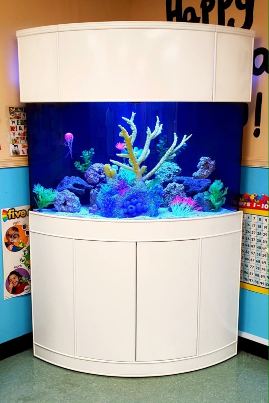 Modern Corner Fish Tank with White Cabinet