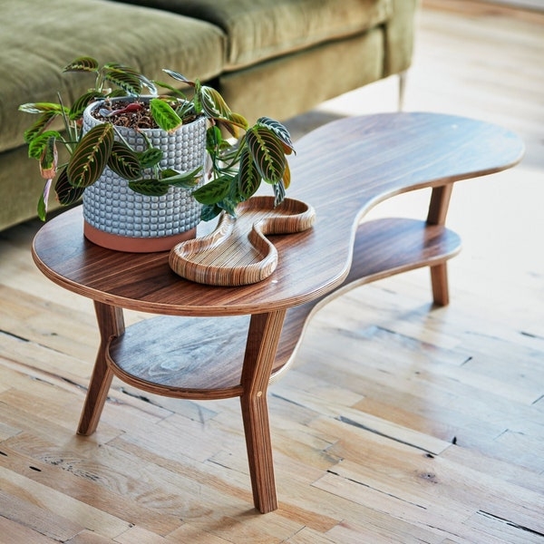 Modern Curved Wooden Coffee Table with Planter