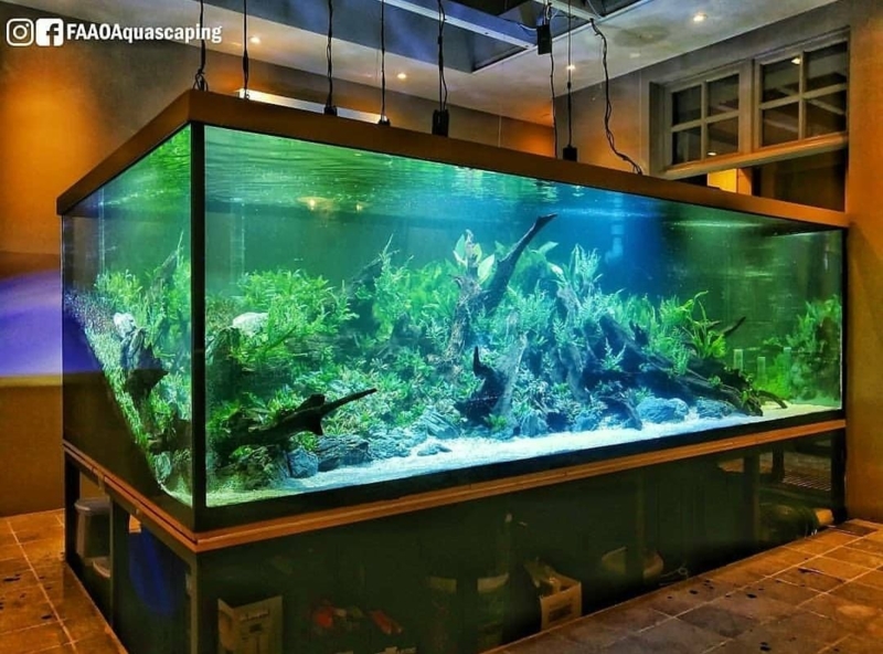 Modern Large Indoor Aquarium with Lush Greenery