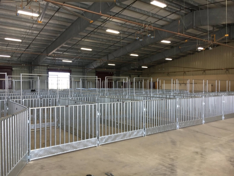 Modern Livestock Pens for Hog Sheep and Goats