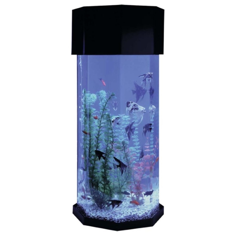 Modern Octagon Fish Tank with Elegant Stand