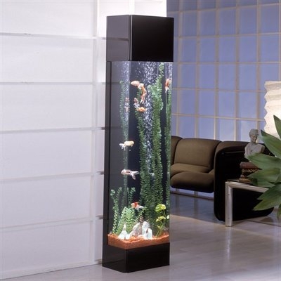 Modern Tall Glass Fish Tank in Living Room