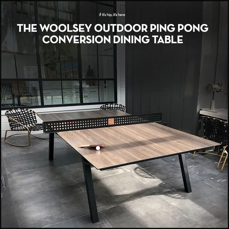 Modern Woolsey Outdoor Convertible Ping Pong Dining Table