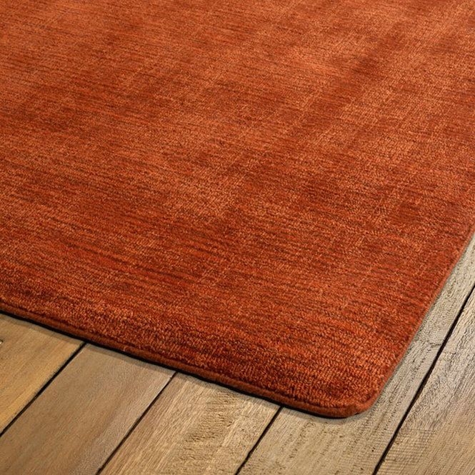 Rust Color Living Room Rug on Hardwood Floor